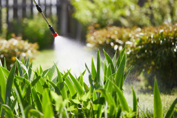 24/7 Emergency Wasp Removal experts in Lake Providence, LA